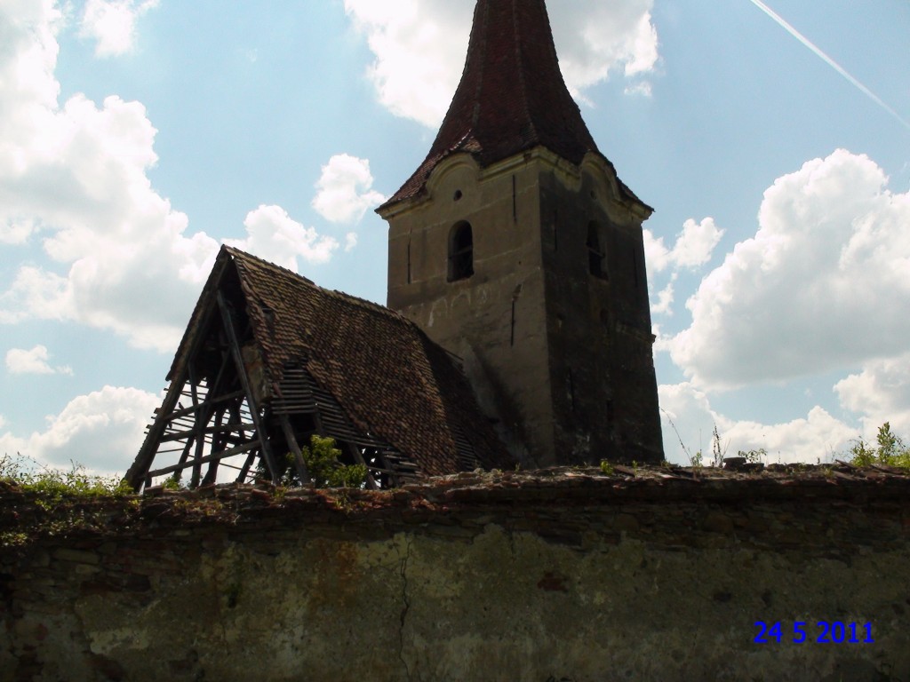 DSC00973