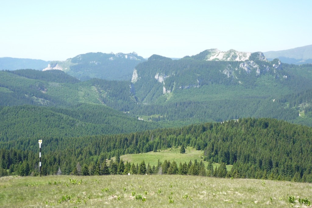 P1020617