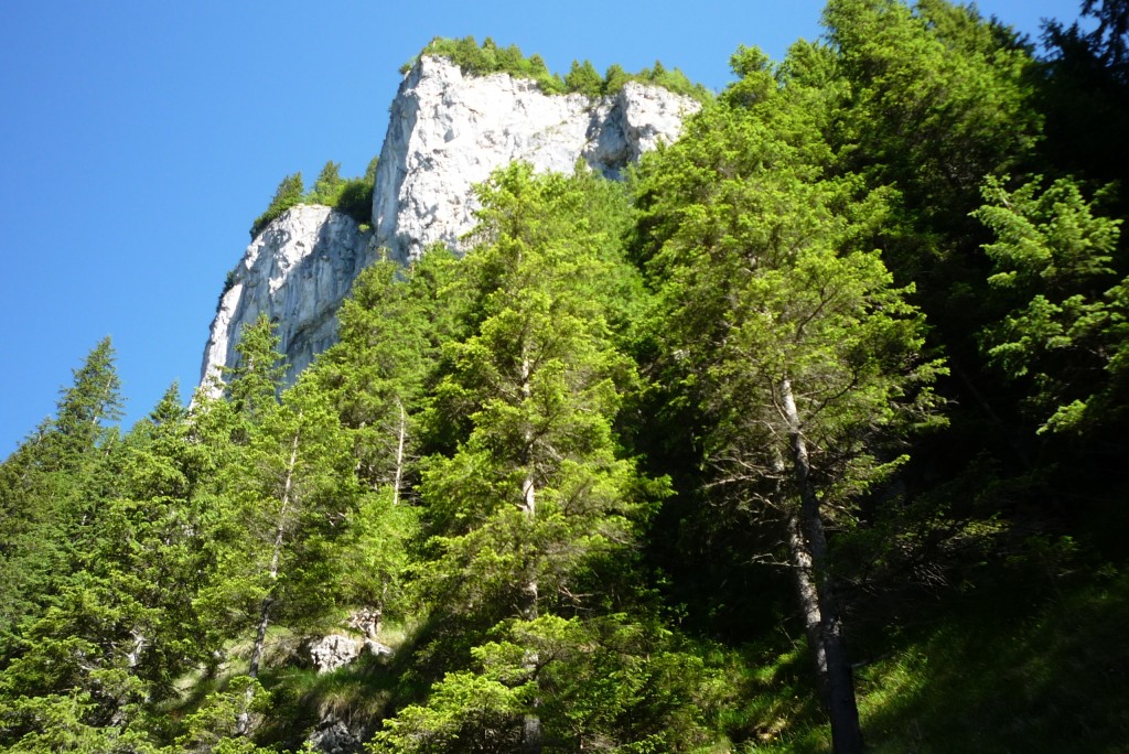 P1020707