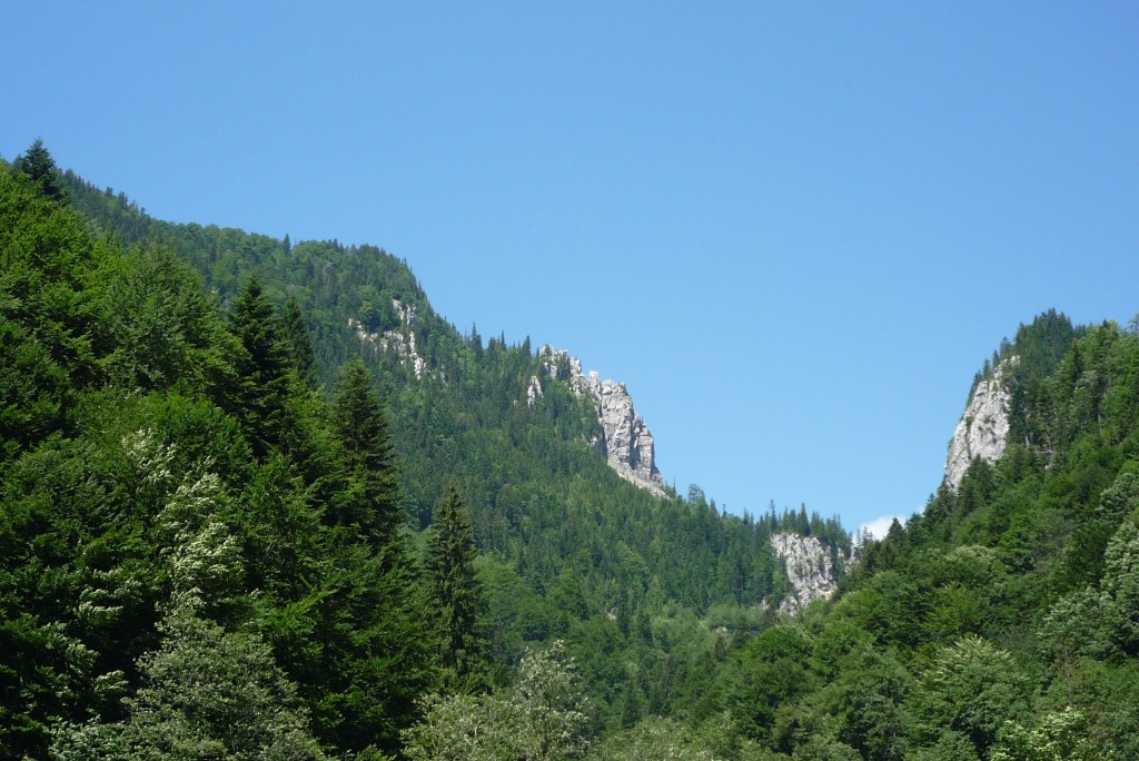 P1020780