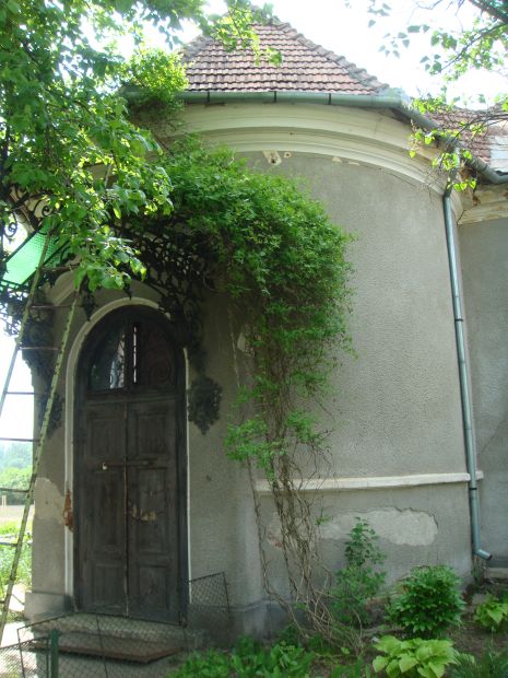 DSC01421