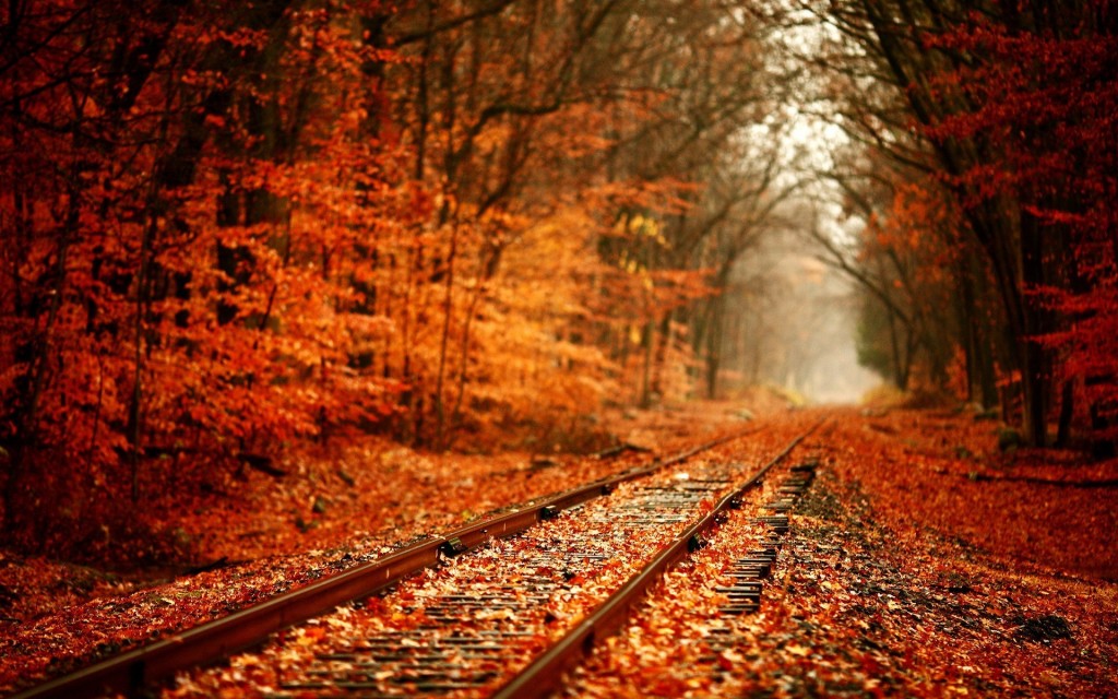 railroad-through-the-fall-woods-157071