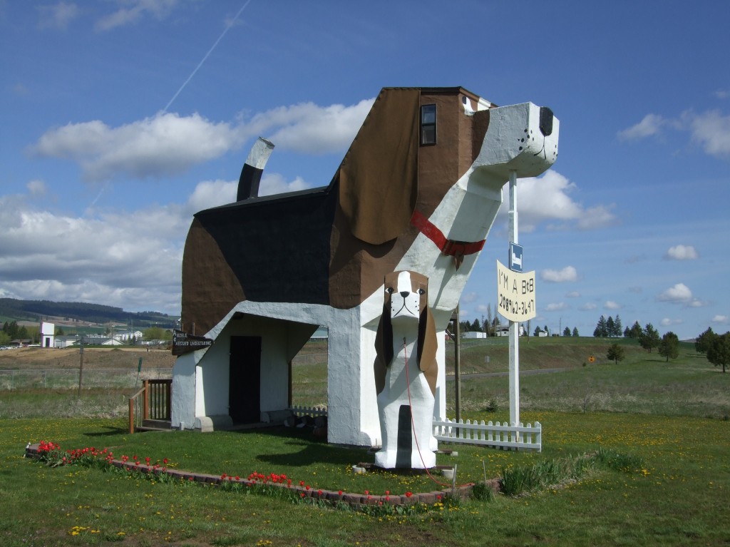 dog-1024x767