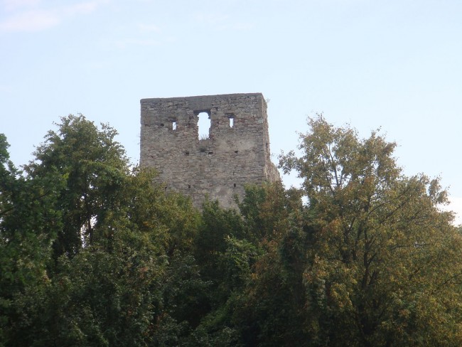 Cetatea_Almasului_Almasu_1