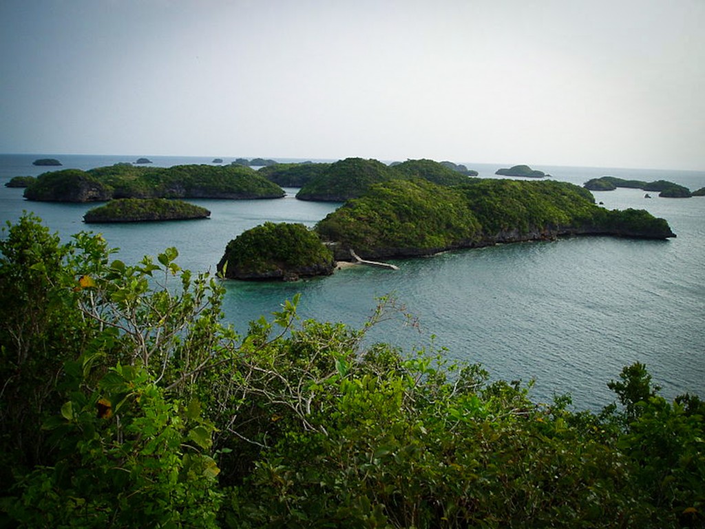 RedDotLuzon-3