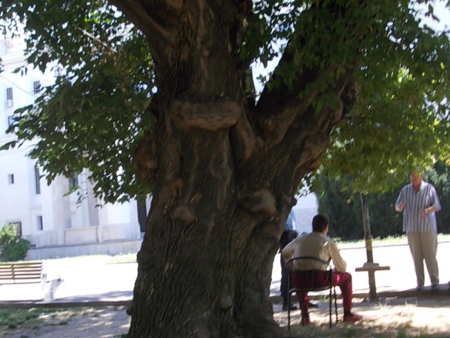 DSCN4294