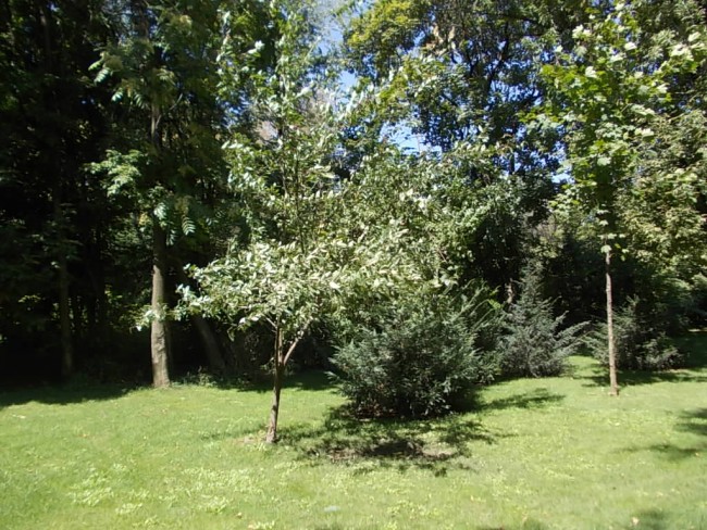 DSCN4347
