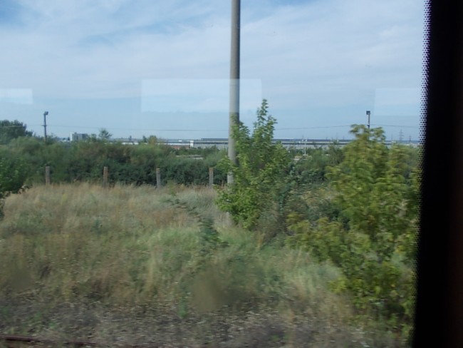 DSCN4451