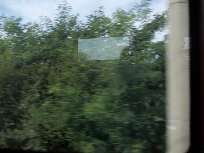 DSCN4455