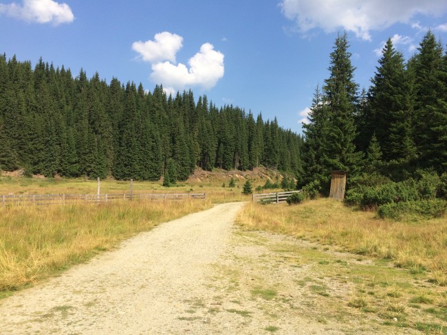 Drum Valea Frumoasei