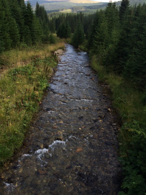 Parau din Valea Frumoasei