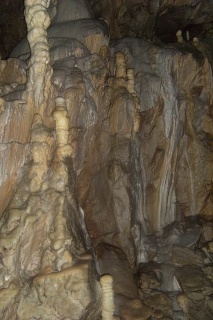 DSCF2568