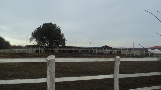 dsc05069