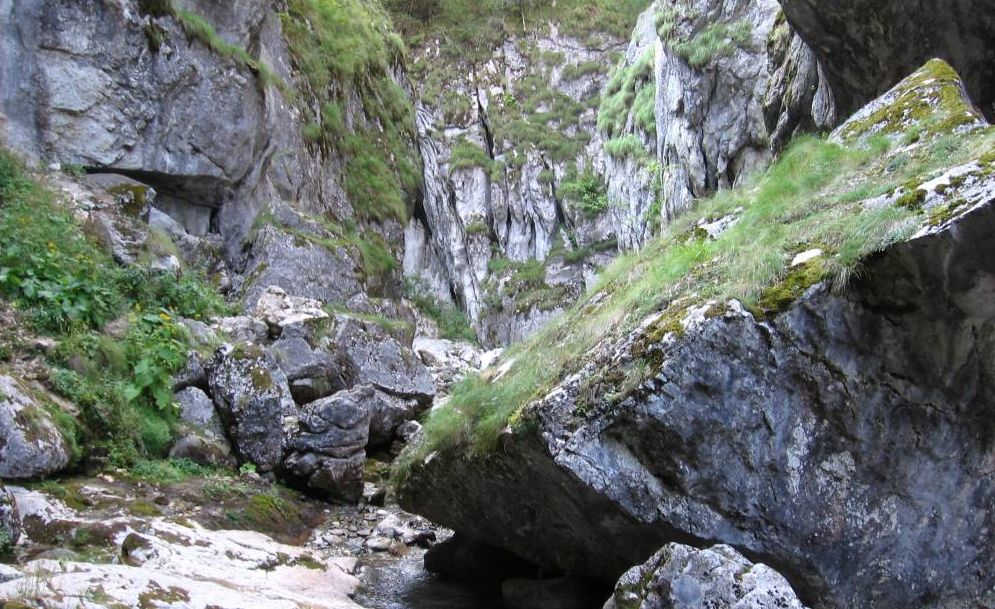 Cheile Buţii din Retezat, raiul cascadelor. Locul în care liniştea pune stăpânire pe tine