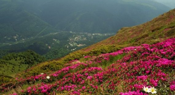 CNN recomandă 10 destinaţii de vacanţă inedite, printre care şi România