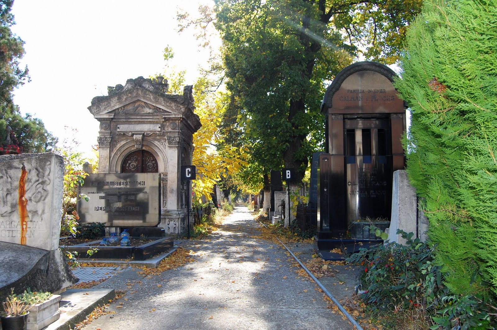 Brno, oraşul ceh care a găsit speranţa într-un cimitir