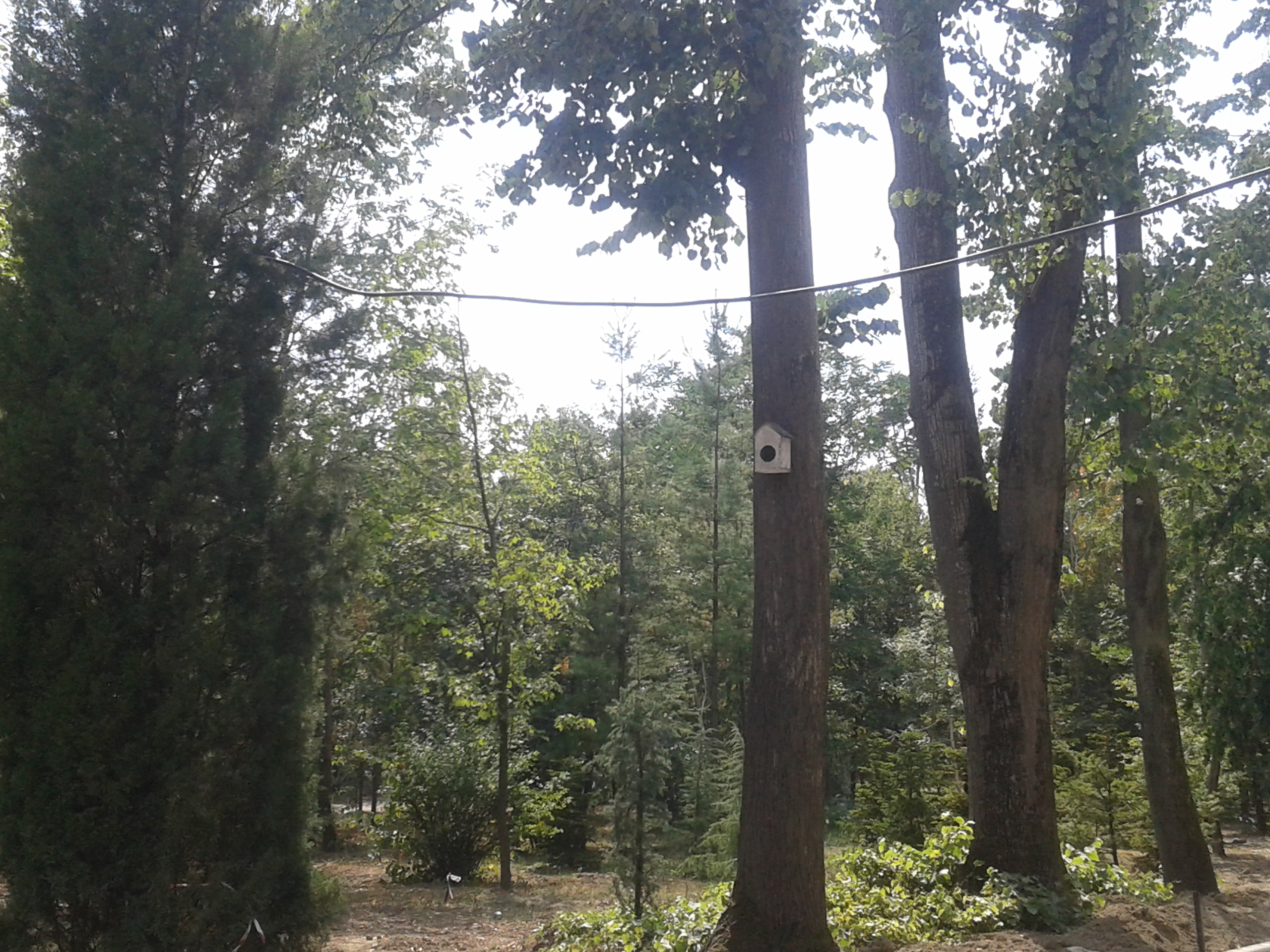 Parcul Zăvoi din Râmnicu Vâlcea- O promenadă cu gust istoric