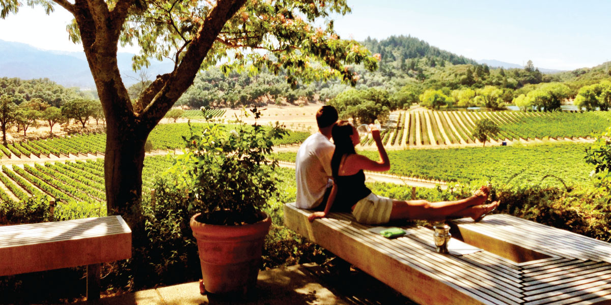 O călătorie fantastică printre vinurile din Napa Valley