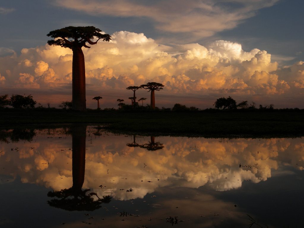 \"madagascar\"