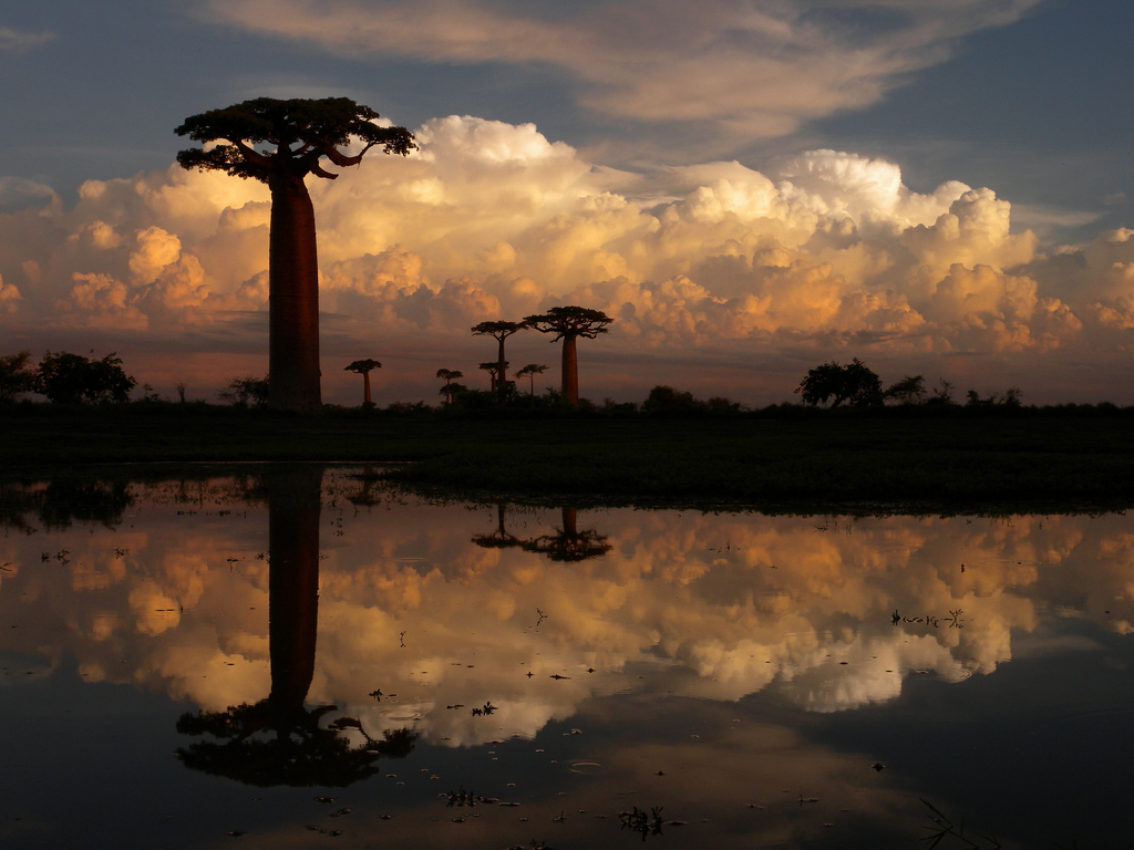 Râul Mangoky – o călătorie în Madagascar
