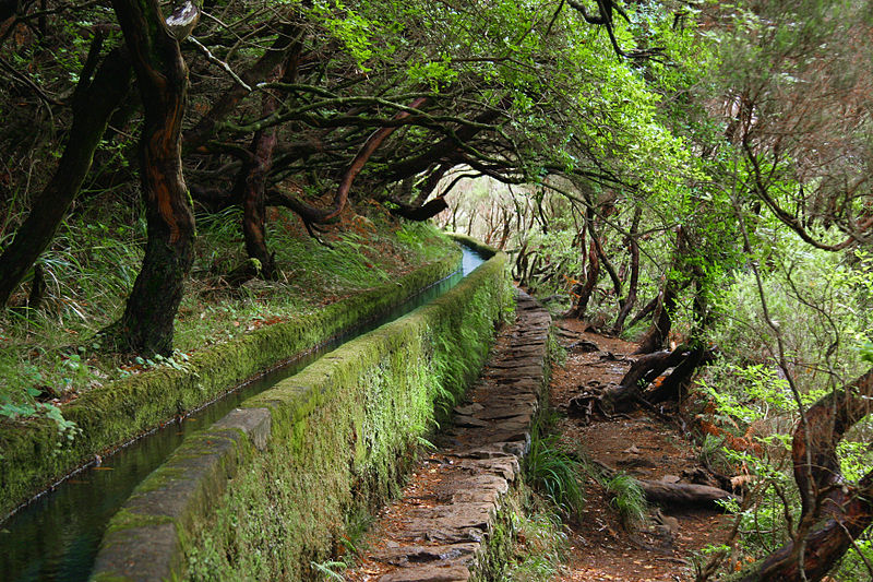 Levada în Madeira – un loc aparte