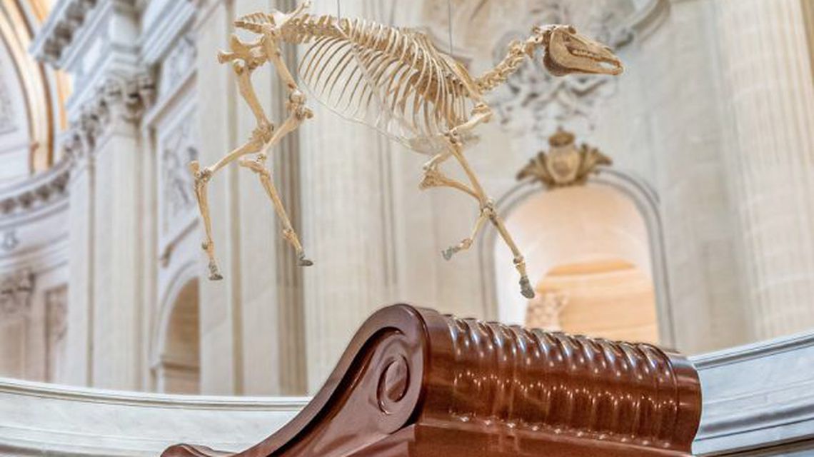 «Grotesc şi şocant»- o reproducere a scheletului calului preferat de Napoleon, montată deasupra mormântului său