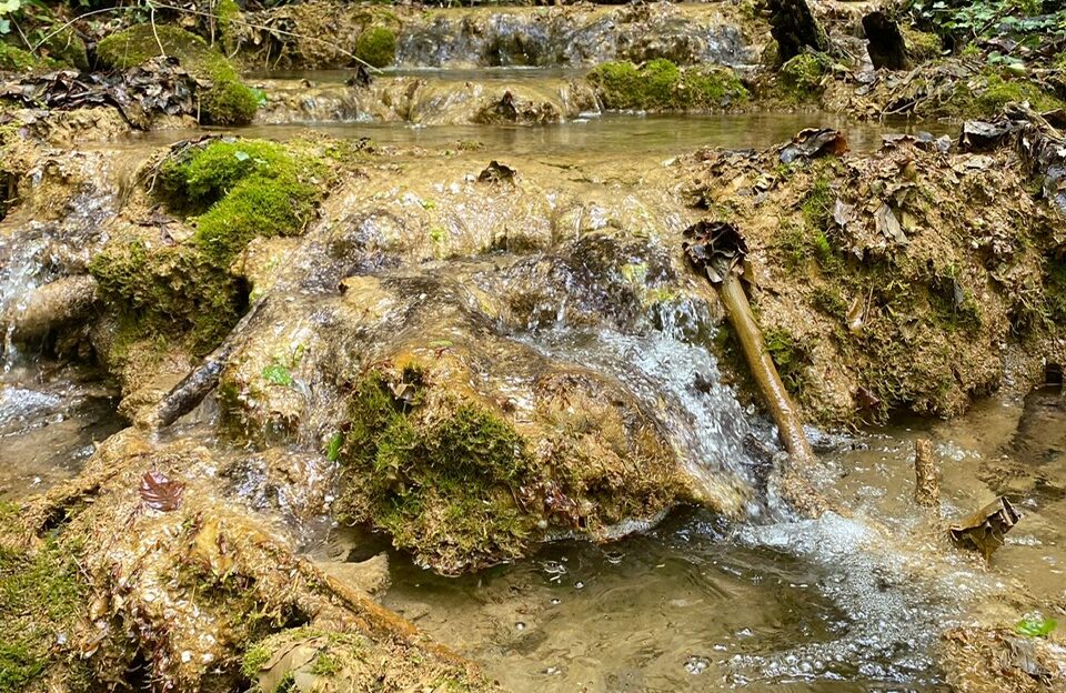 Trei atracții naturale din Bihor au devenit arii protejate, restricții pentru construcții