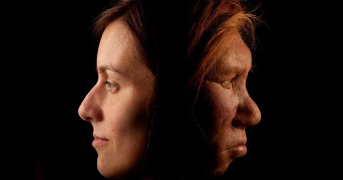 Sex Cu Omul De Neanderthal De Ce Unii îmbolnavesc Mai Ușor 8905