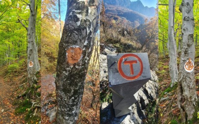 Via Transilvanica, recomandată de publicația Time