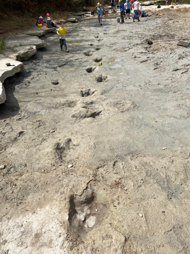 Foto: Facebook / Dinosaur Valley State Park - Friends