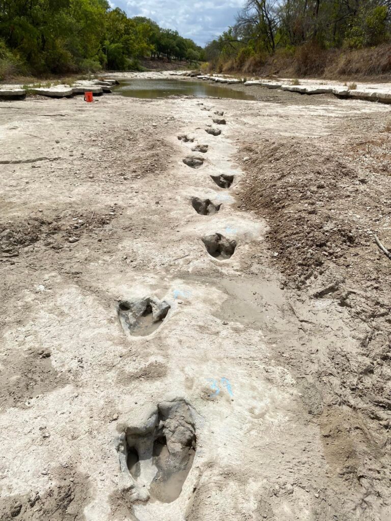 Foto: Facebook / Dinosaur Valley State Park - Friends
