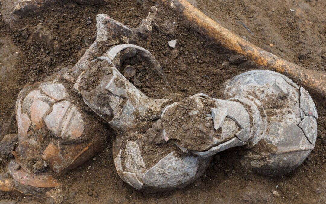 Cele mai vechi urme de opiu, descoperite într-un mormânt datând din epoca bronzului