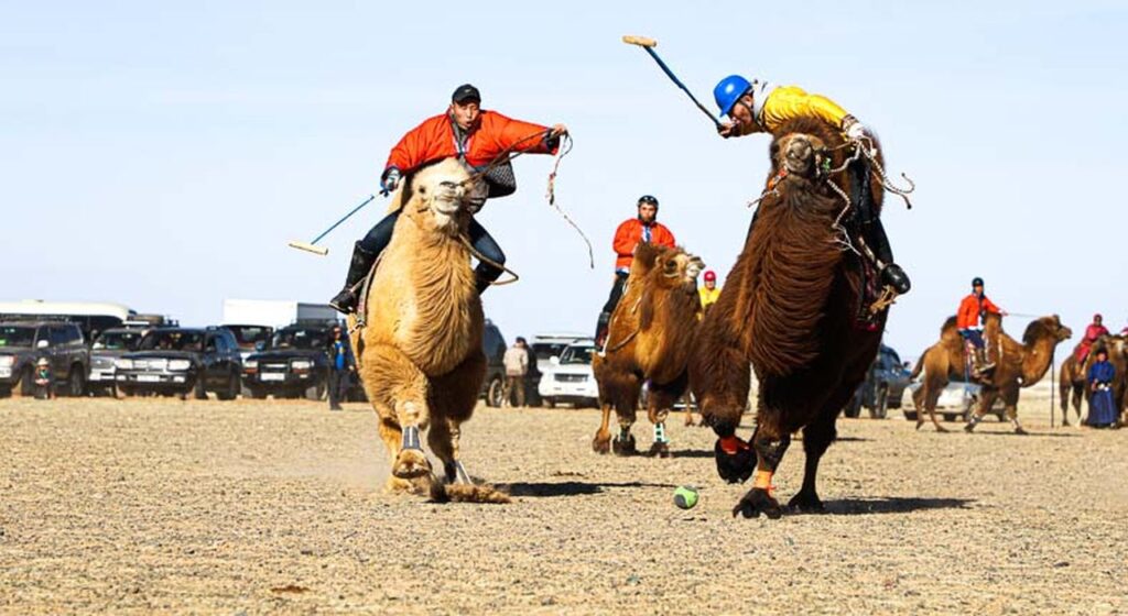 Mongolia organizează „Festivalul celor o mie de cămile” (foto: viewmongolia.com)