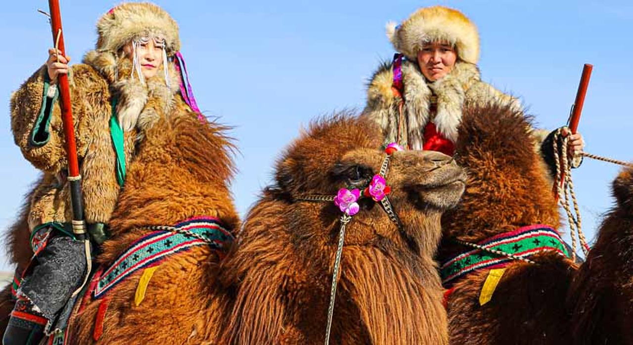 „Festivalul celor o mie de cămile”, organizat în Mongolia / VIDEO