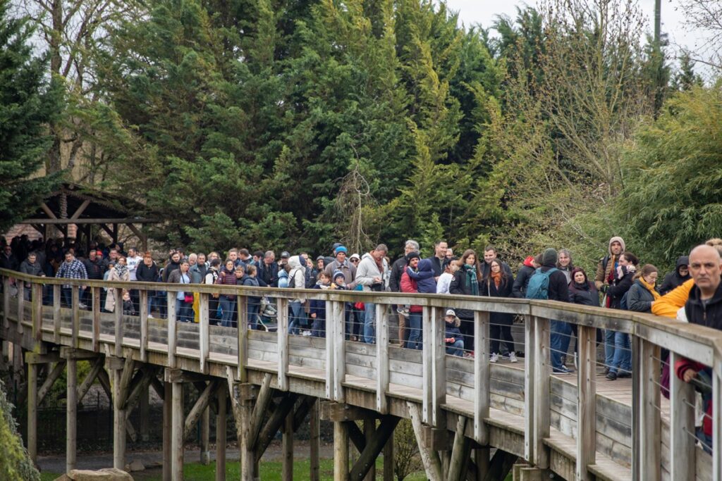 Cea mai mare volieră din Europa, inaugurată la o grădină zoologică din Franța (foto: Facebook / Zoo de Beauval)