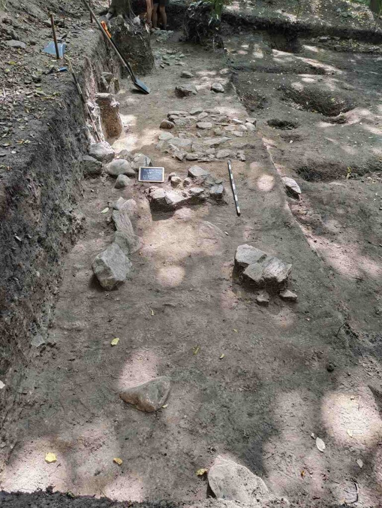 Cetatea dacică de la Tilișca - Dealul Cățănaș (foto: Muzeul Național Brukenthal)