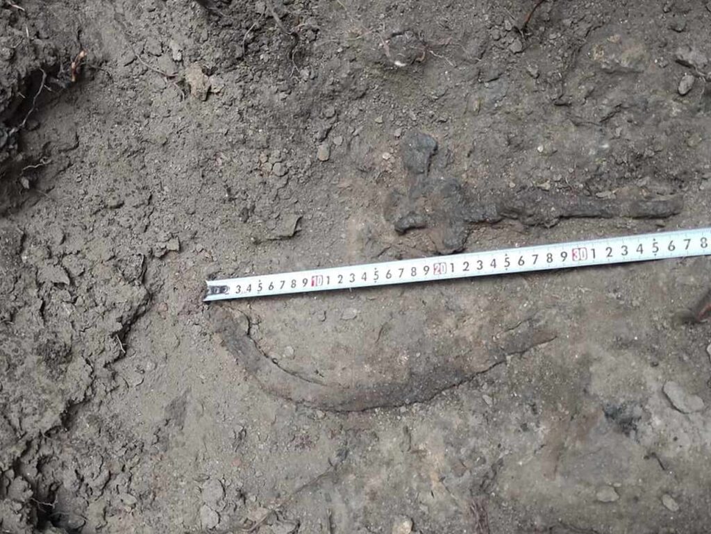 Cetatea dacică de la Tilișca - Dealul Cățănaș (foto: Muzeul Național Brukenthal)
