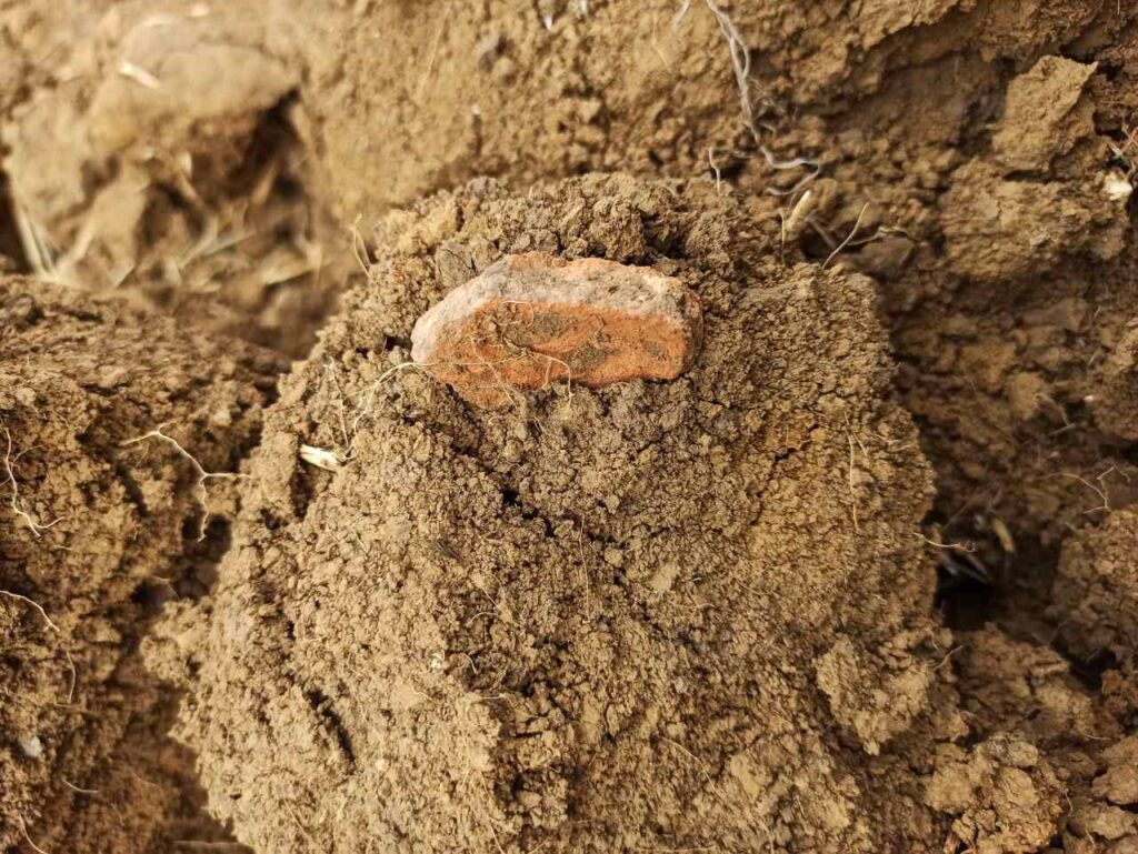 Foto: Facebook / Vasile Diaconu - archaeologist