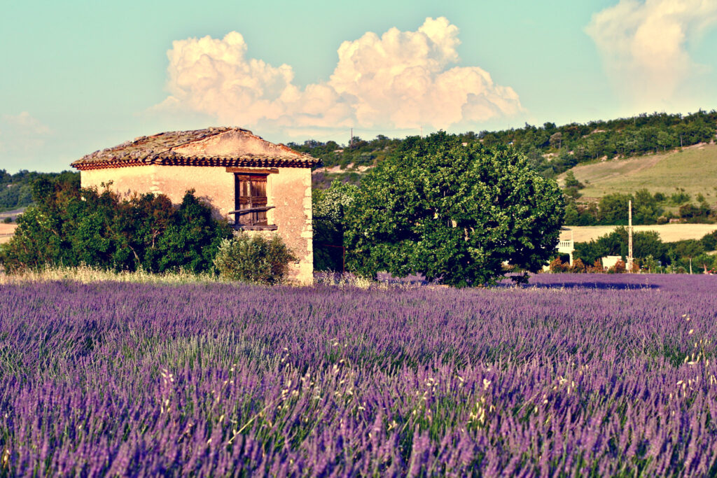 Provence, foto Flickr