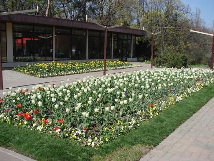 Pavilioanele Expoflora din Parcul Herăstrău se reabilitează