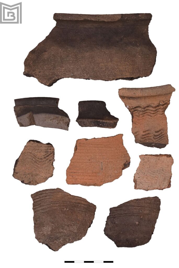 Descoperiri arheologice în Parcul Tineretului (© Muzeul Municipiului București)