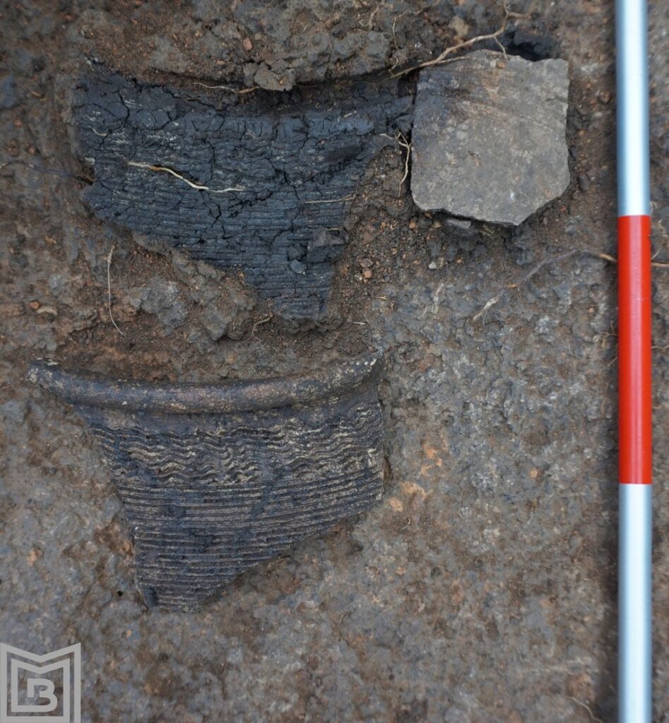 Descoperiri arheologice în Parcul Tineretului (© Muzeul Municipiului București)