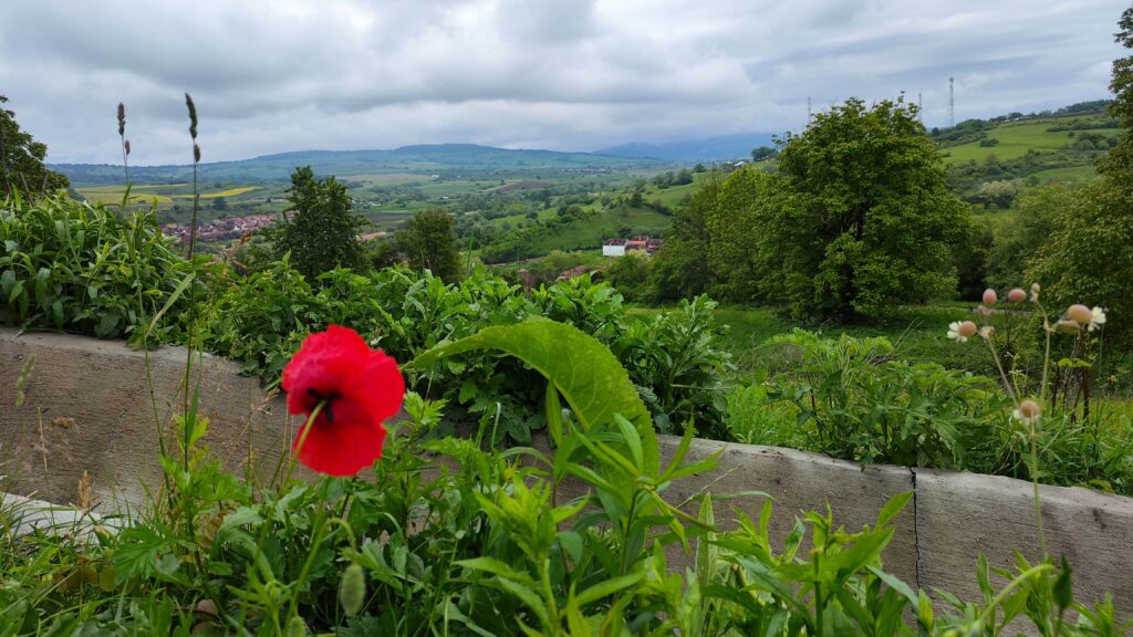 Saschiz - credit foto turismistoric