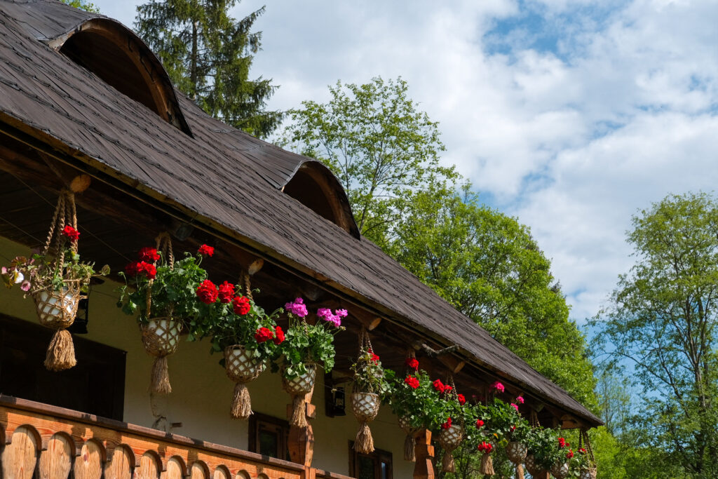 Gospodarie hutulă foto Turism Istoric