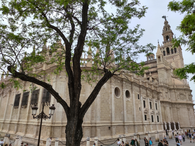 Catedrala din Sevilla, Giralda, credit foto @turismistoric