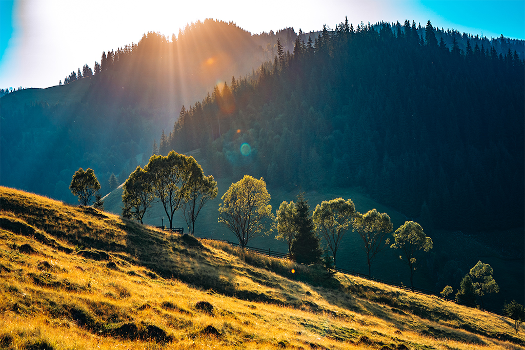 Romania, Spune-mi unde esti (Foto credit - Vlad Eftenie)