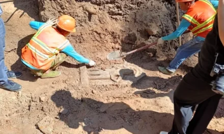 12 statui de gardieni descoperite în Parcul Arheologic Angkor 