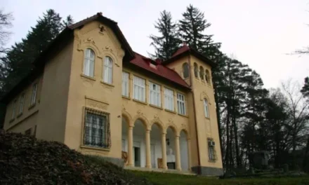 Castelul lui Octavian Goga de la Ciucea va fi restaurat cu bani europeni