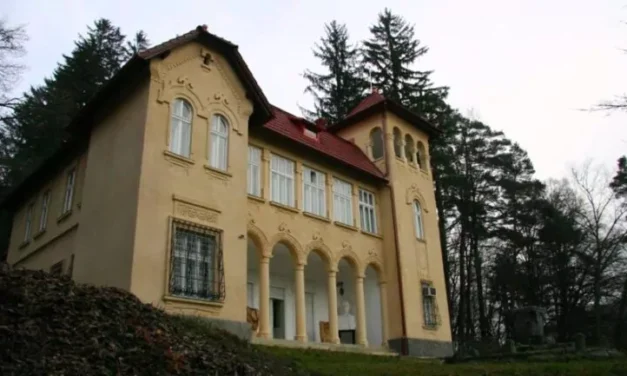 Castelul lui Octavian Goga de la Ciucea va fi restaurat cu bani europeni