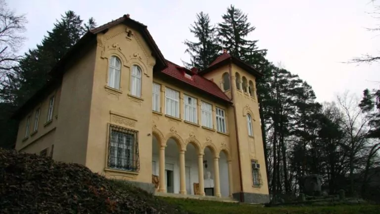 Castelul lui Octavian Goga de la Ciucea va fi restaurat cu bani europeni